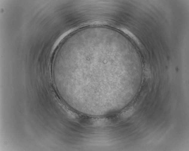 X0000071960886200607282030