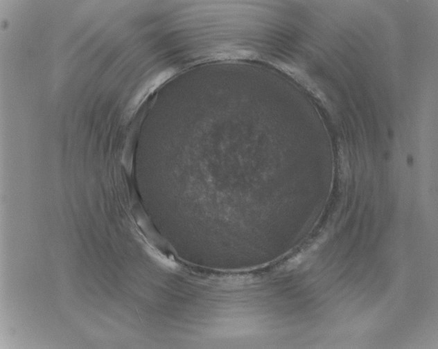 X0000071960889200607282030