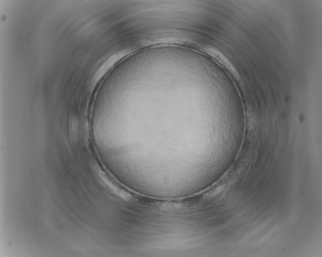 X0000071960890200607282030