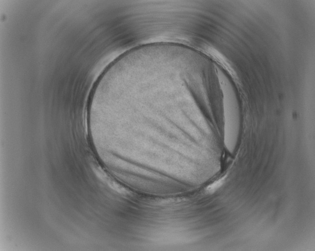 X0000071960892200607282030