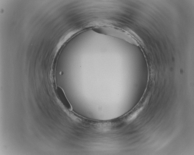 X0000071960893200607282030