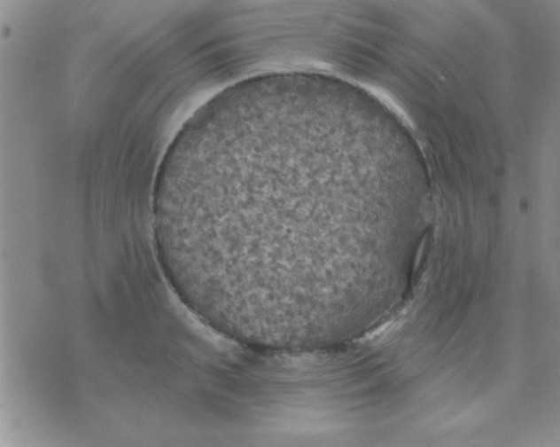 X0000071960895200607282030