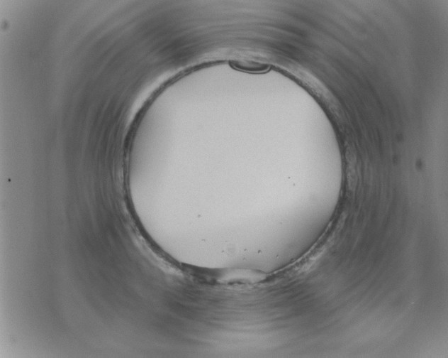 X0000071960896200607282030