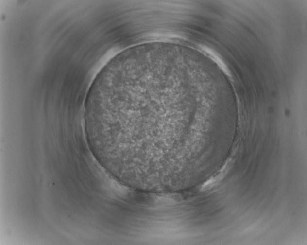 X0000071960899200607282030