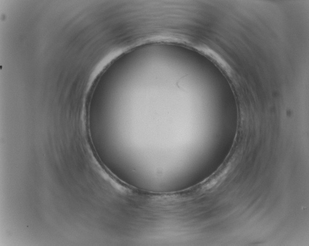 X0000071960902200607282030