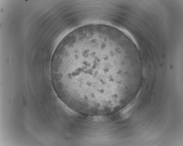 X0000071960903200607282030