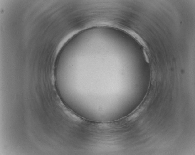 X0000071960904200607282030