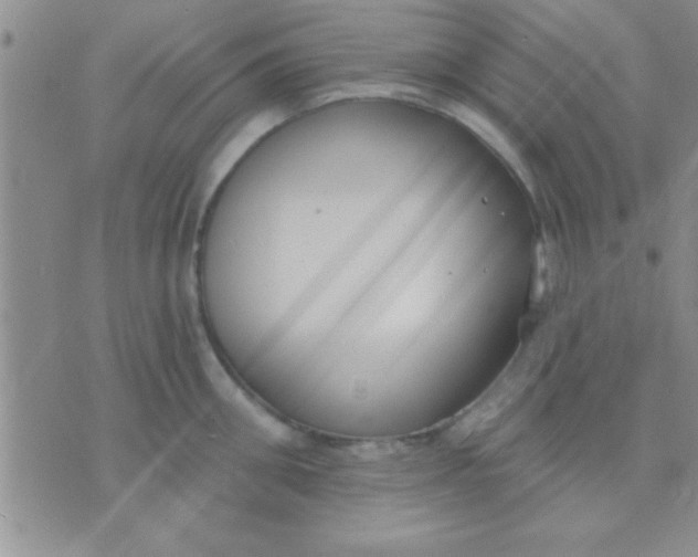 X0000071960906200607282030