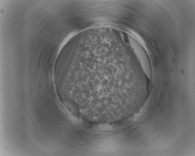 X0000071960907200607282030