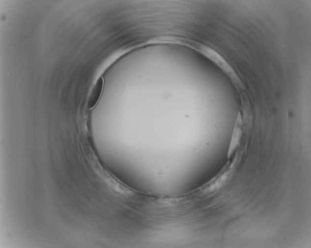 X0000071960908200607282030