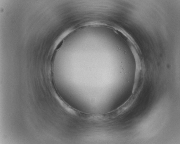 X0000071960909200607282030