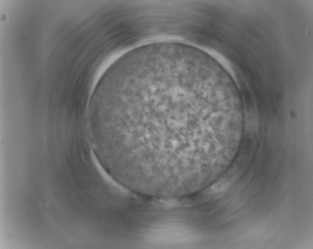 X0000071960911200607282030