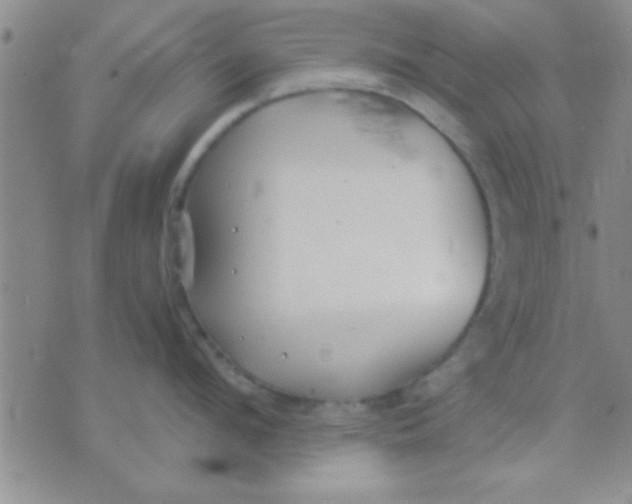 X0000071960912200607282030