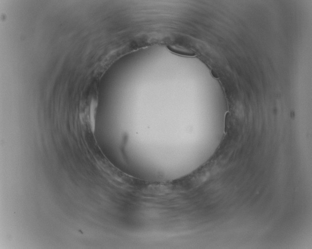 X0000071960914200607282029