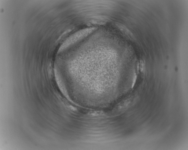 X0000071960915200607282029