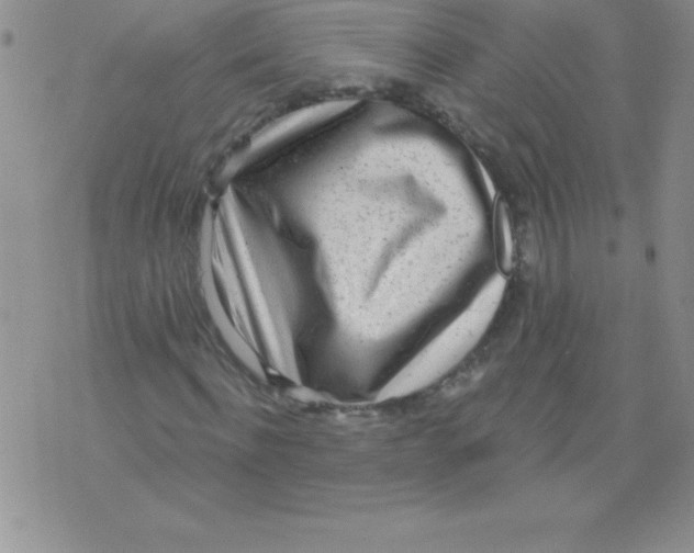 X0000071960916200607282029