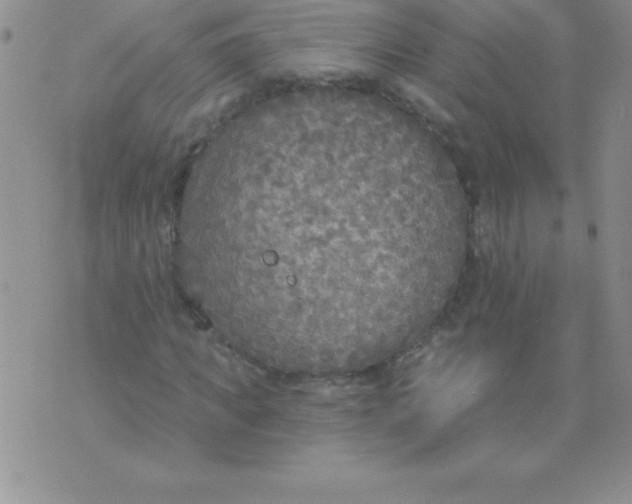 X0000071960917200607282029