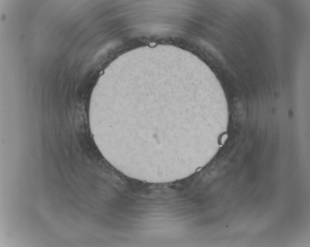 X0000071960918200607282029