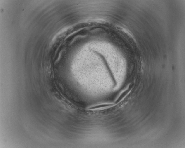 X0000071960920200607282029