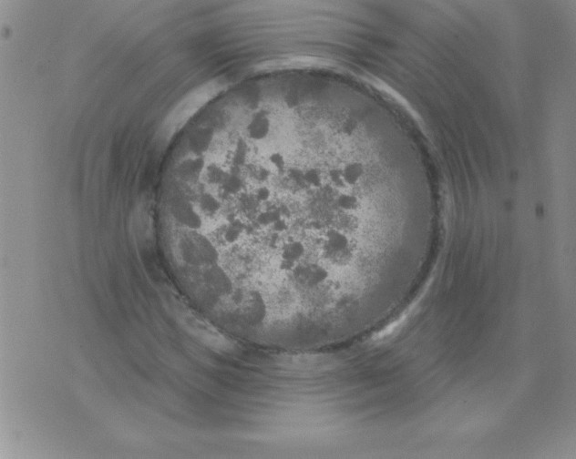 X0000071960921200607282029