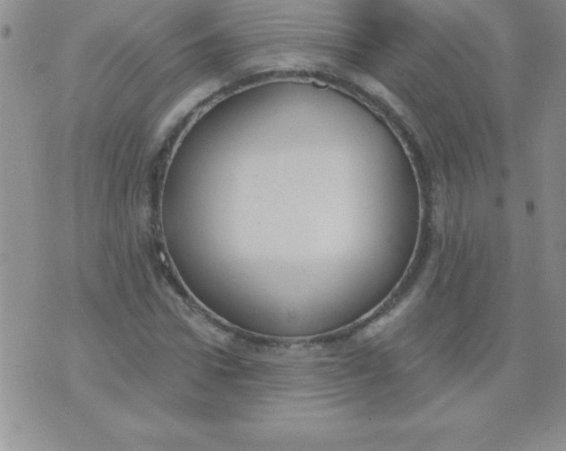 X0000071960922200607282029