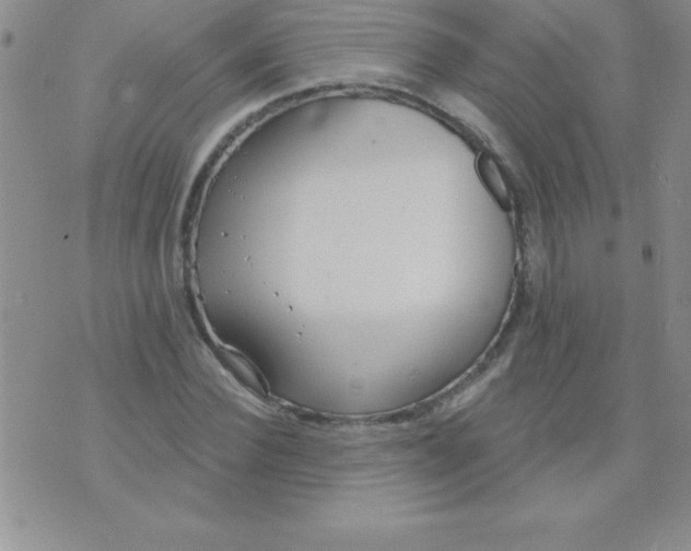 X0000071960924200607282029