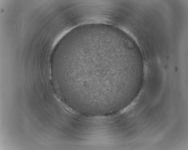 X0000071960925200607282029