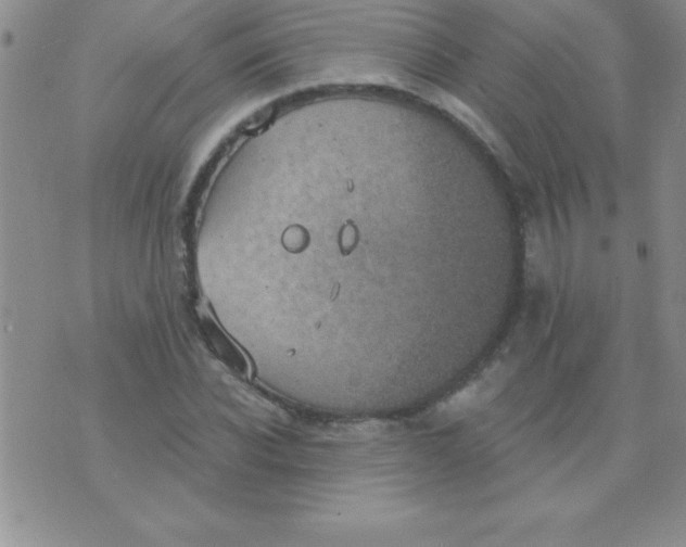 X0000071960926200607282029