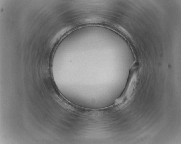 X0000071960930200607282029