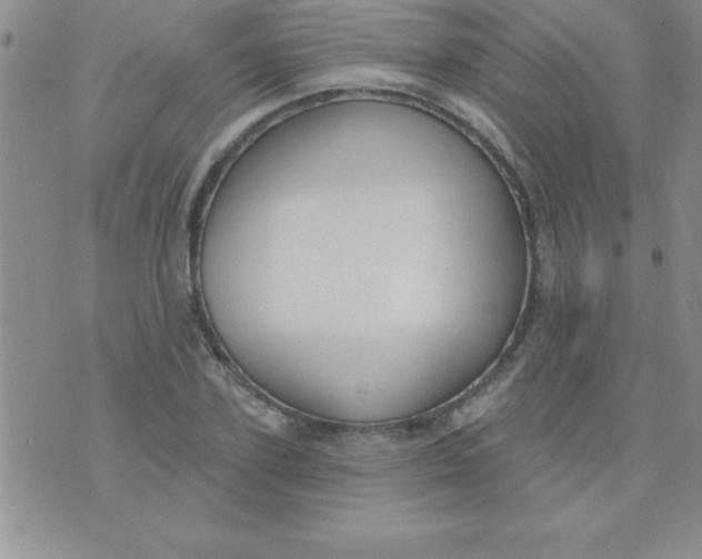 X0000071960931200607282029