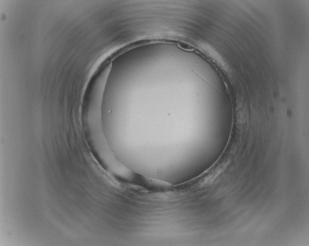 X0000071960932200607282029