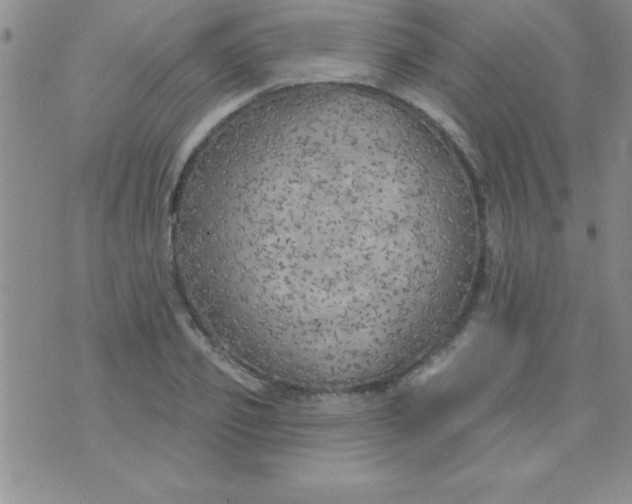 X0000071960933200607282029