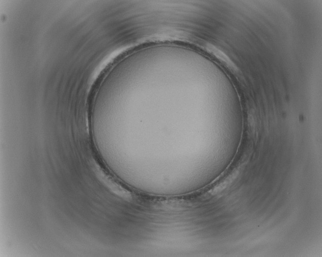 X0000071960934200607282029