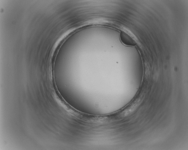 X0000071960939200607282030