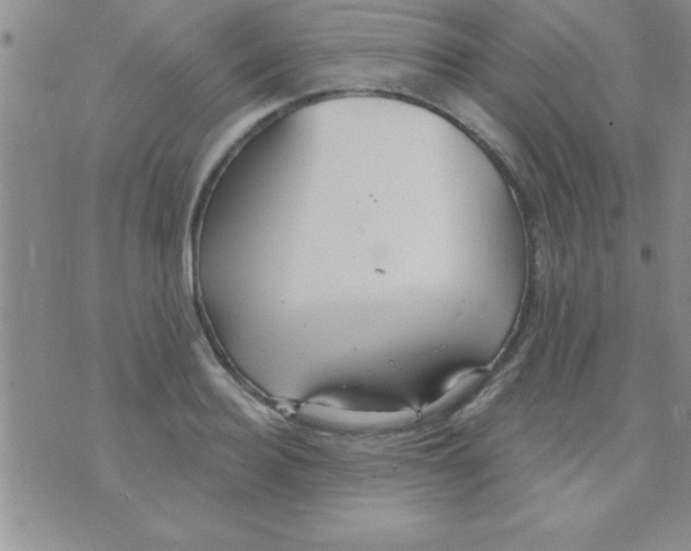 X0000071960940200607282030