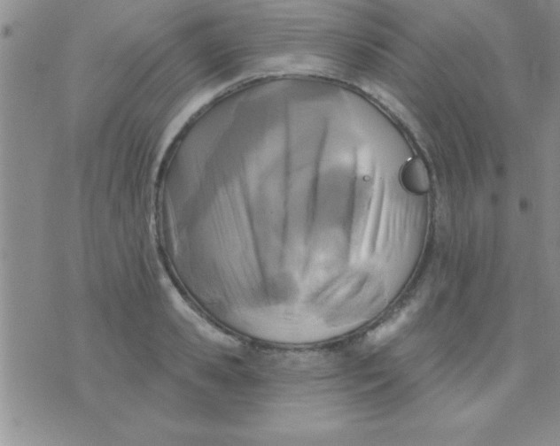 X0000071960941200607282030