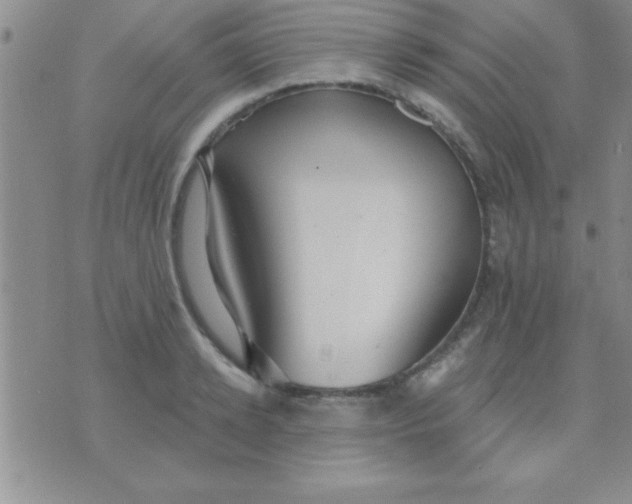 X0000071960942200607282030