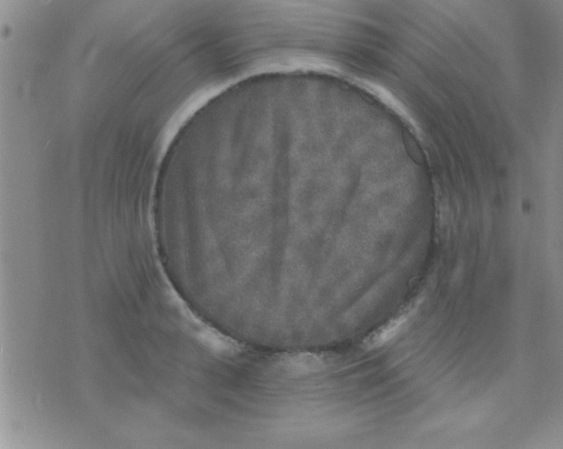 X0000071960943200607282030