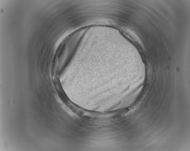 X0000071960944200607282030