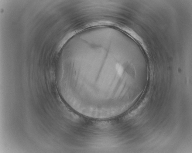 X0000071960945200607282030