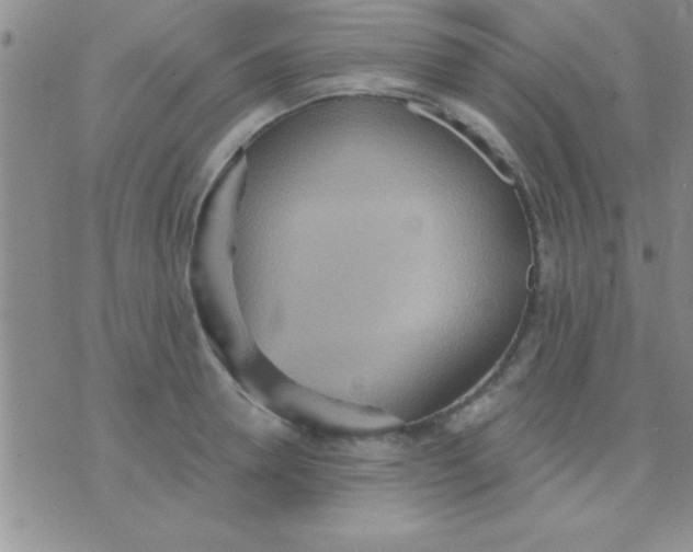 X0000071960946200607282030