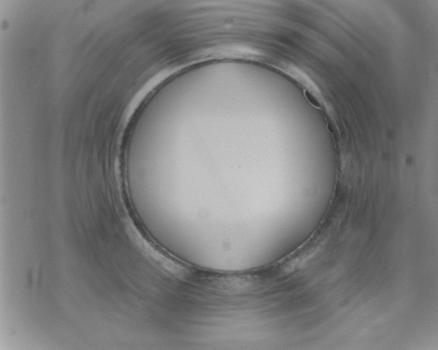 X0000071960947200607282030