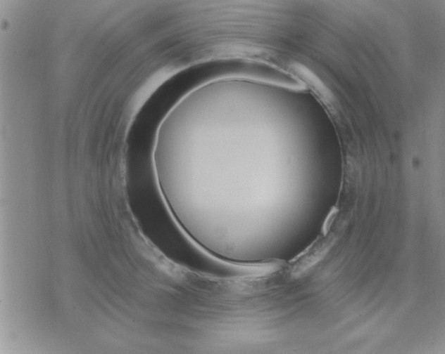 X0000071960948200607282030