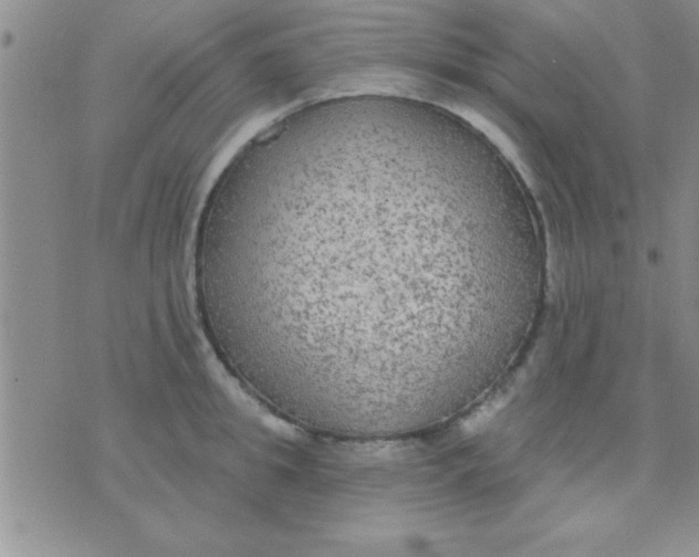 X0000071960949200607282030