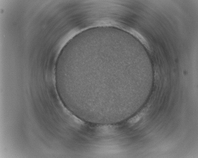 X0000071960950200607282030