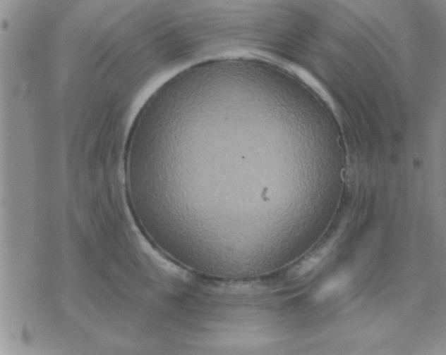 X0000071960951200607282030