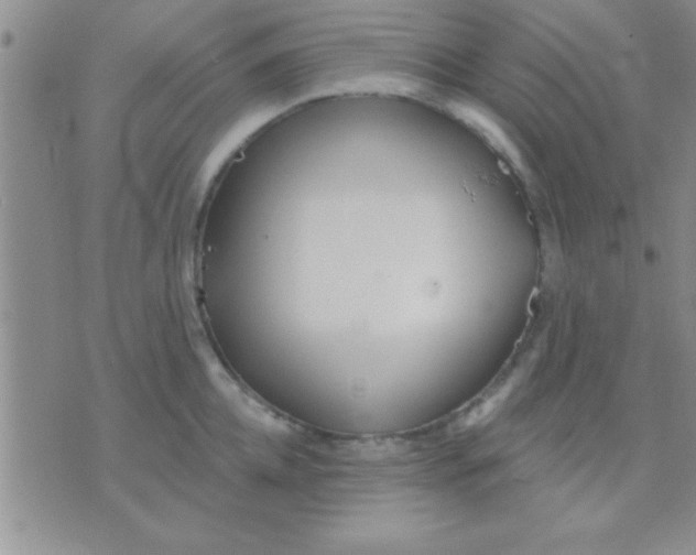 X0000071960952200607282030