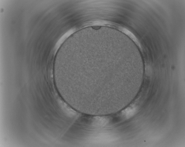 X0000071960954200607282030