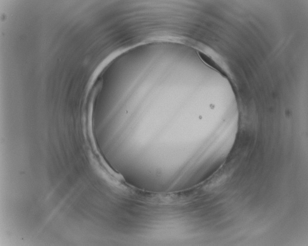 X0000071960955200607282030