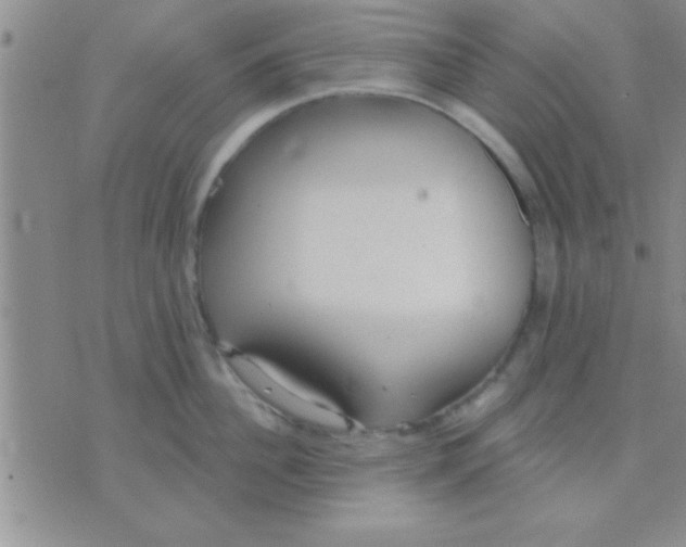 X0000071960956200607282030